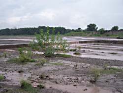 road at the monsoon